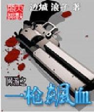 小说《网游之一枪飙血》电子书txt全集下载