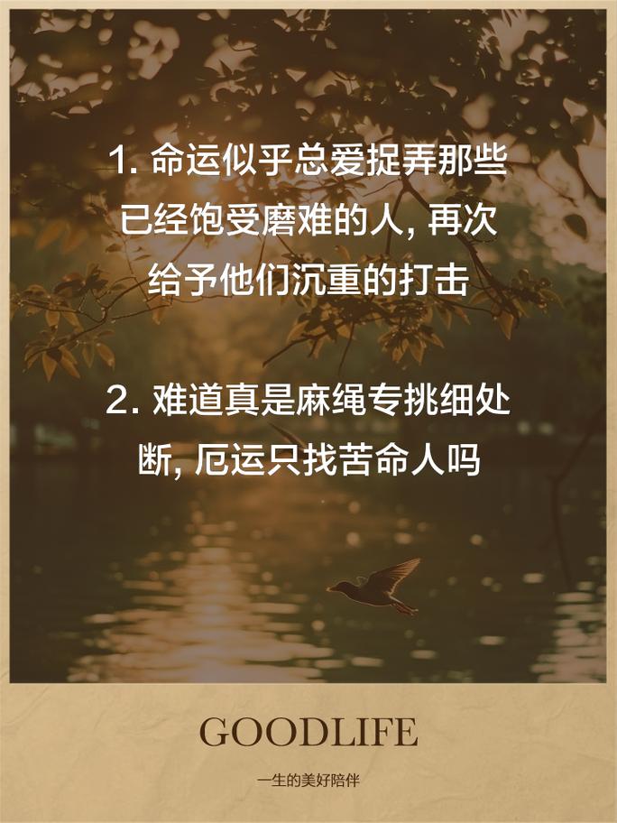 命运试金石什么意思