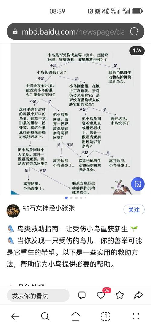 梦幻帮派秘道怎么做?