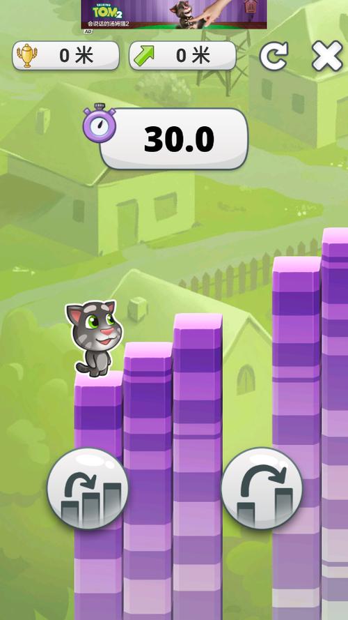 会说话的tom猫介绍