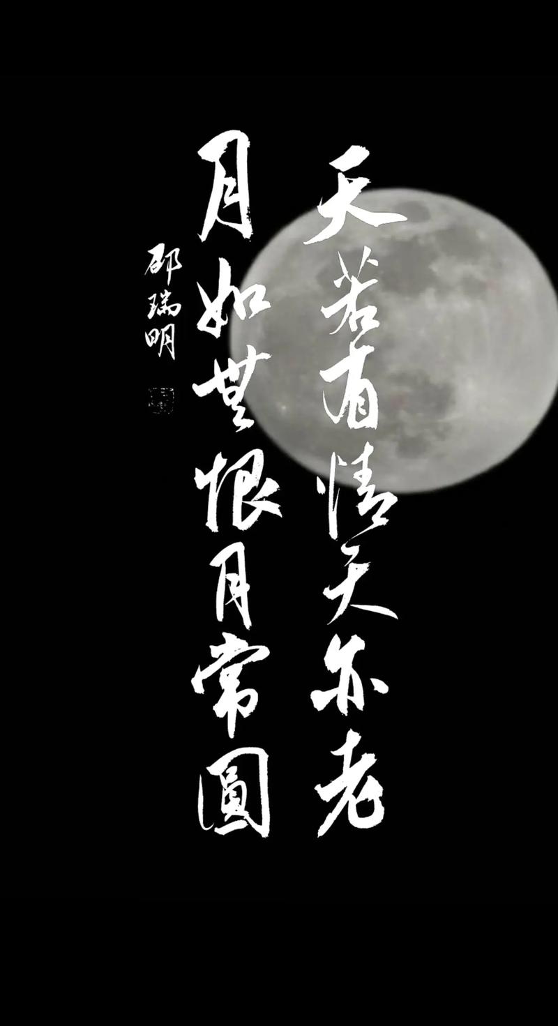 天若有情天亦老什么意思?