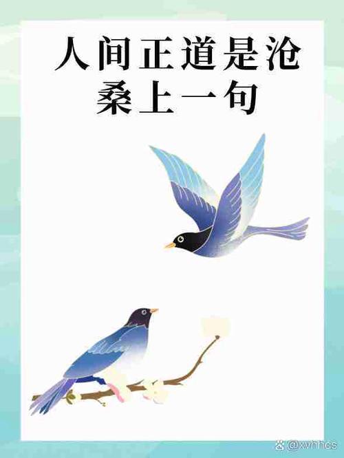 “天若有情天亦老,人若有情死得早”什么意思