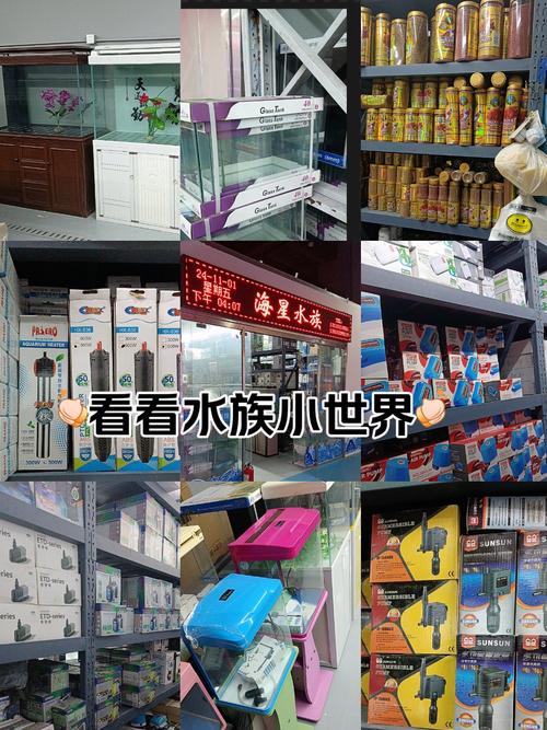 电影《冰冷热带鱼》改编自哪个故事?