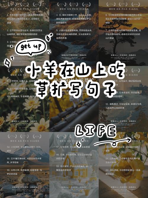 山坡上,小羊在奔跑.怎么写成拟人句?