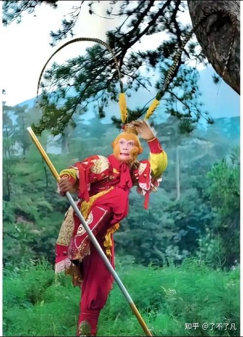 锁子黄金甲详细介绍
