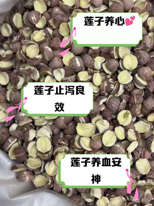 红皮莲子和白皮莲子的营养价值有什么不同?
