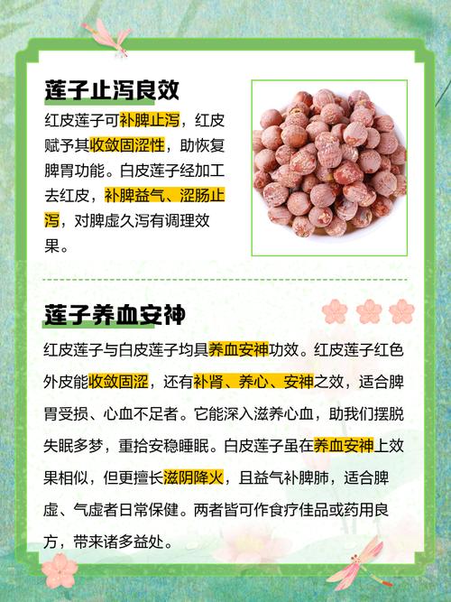 大唐豪侠10级后怎么做任务??