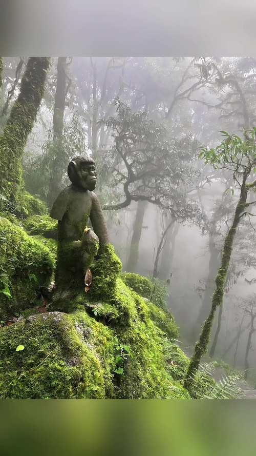 写景设置悬念式