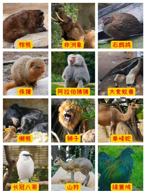 中国最大动物园在哪里