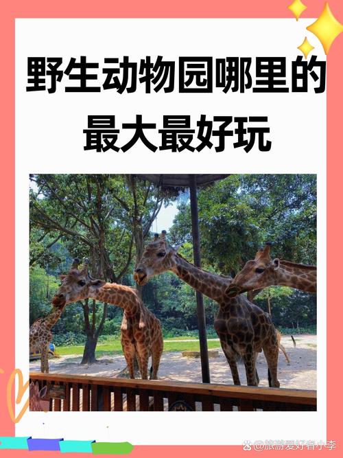 长隆野生动物园