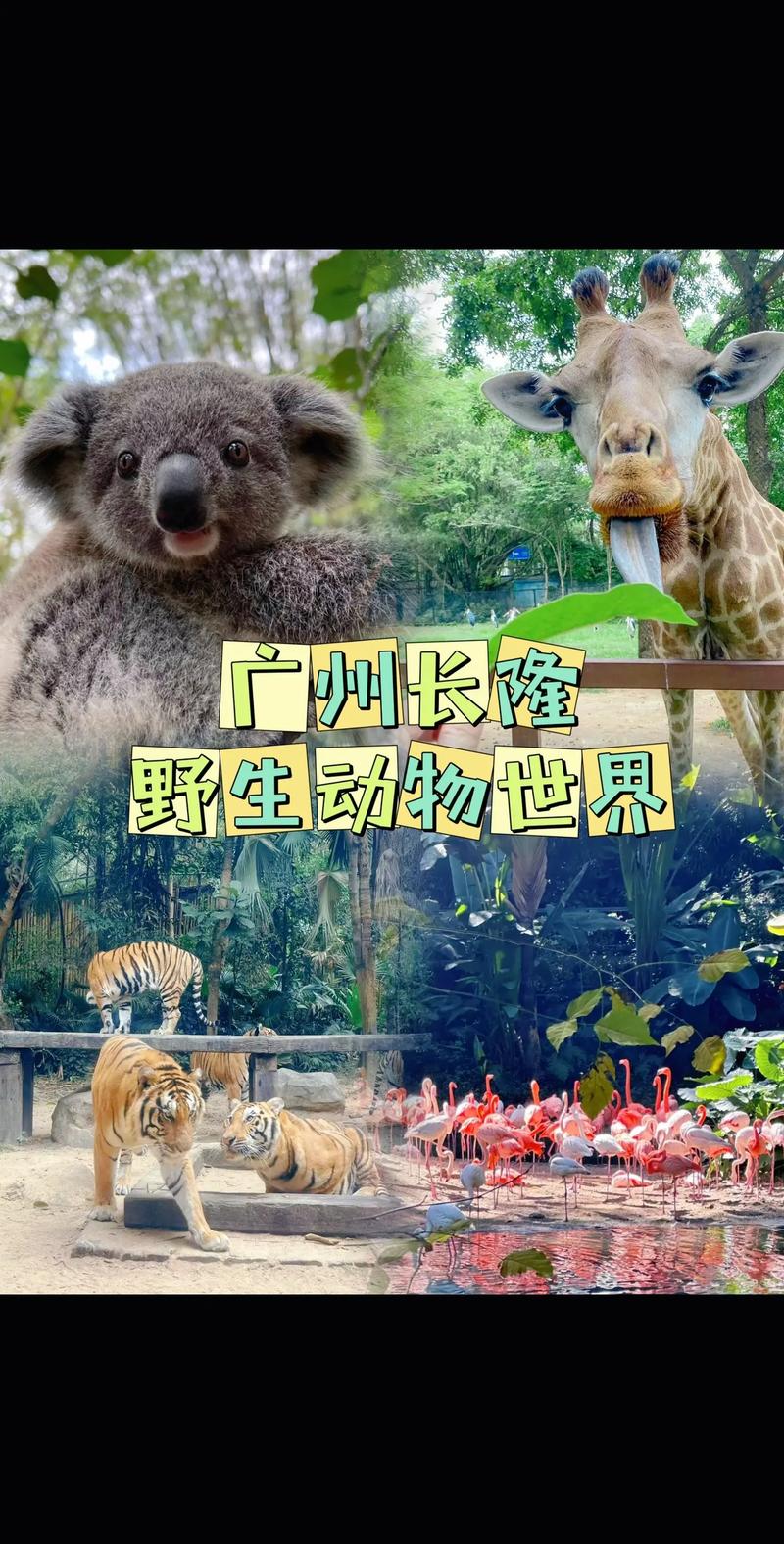 世界最大野生动物园在哪里