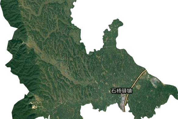 中国远征军经历的事