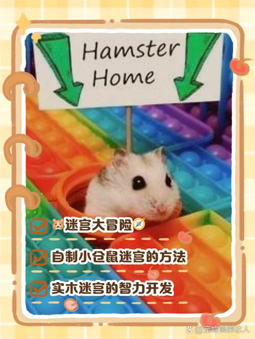 适合小学生玩的手机游戏有哪些