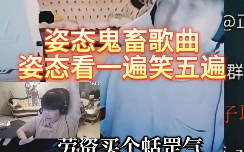 求一些二次元用语,并带上解释,感觉已经在里面混不下去了