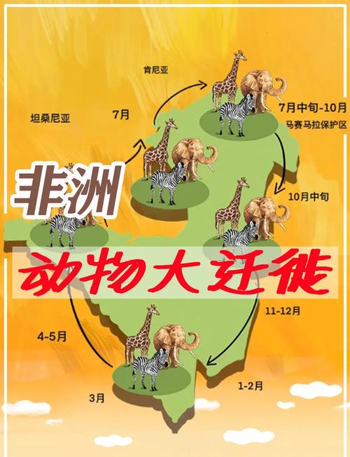 动物大迁徙的各种原因