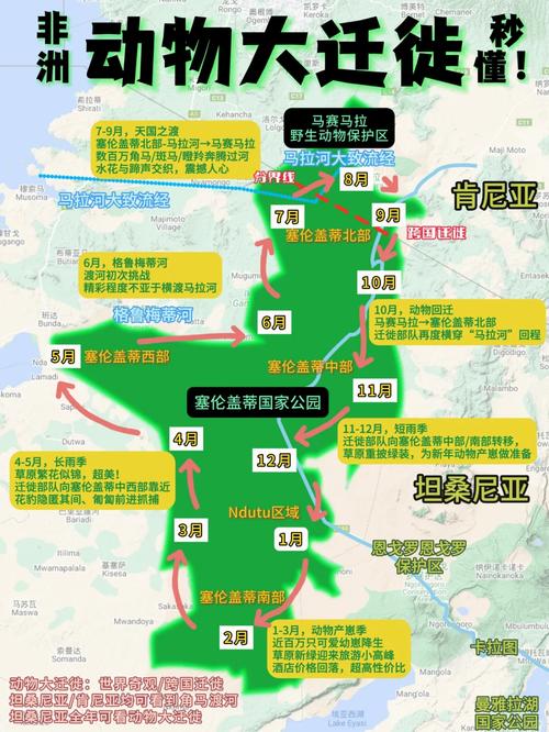 藏羚羊为什么迁徒