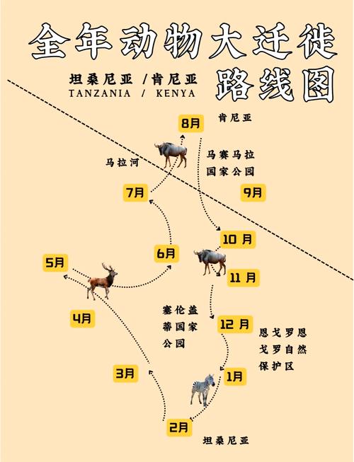 迁徒动物都有哪些?动物为什么要迁徙