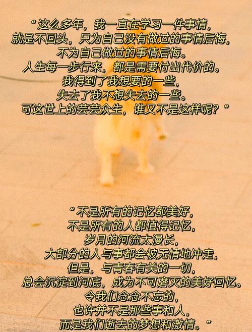 “时光如尔,常伴吾身”是什么意思?