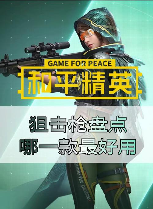 绝地求生刺激战场狙击枪快速弹夹怎么样介绍图鉴