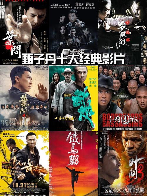 甄子丹主演的电影