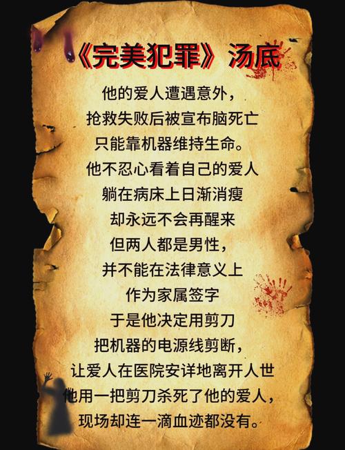 失踪:搜救之谜基本信息