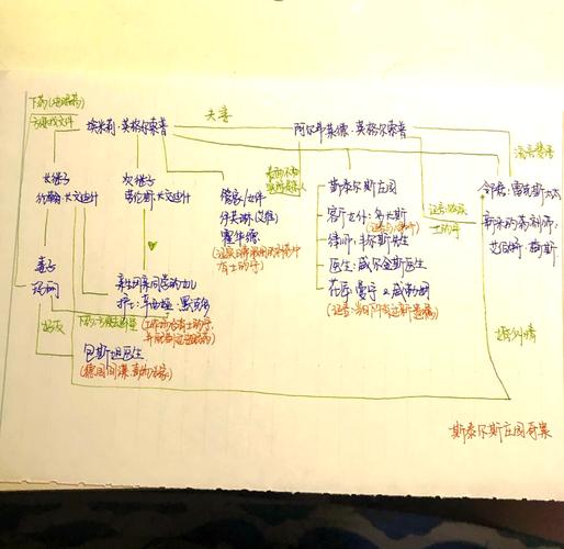 玛丽的抉择大结局是什么