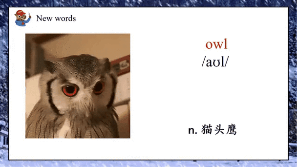 owl什么意思