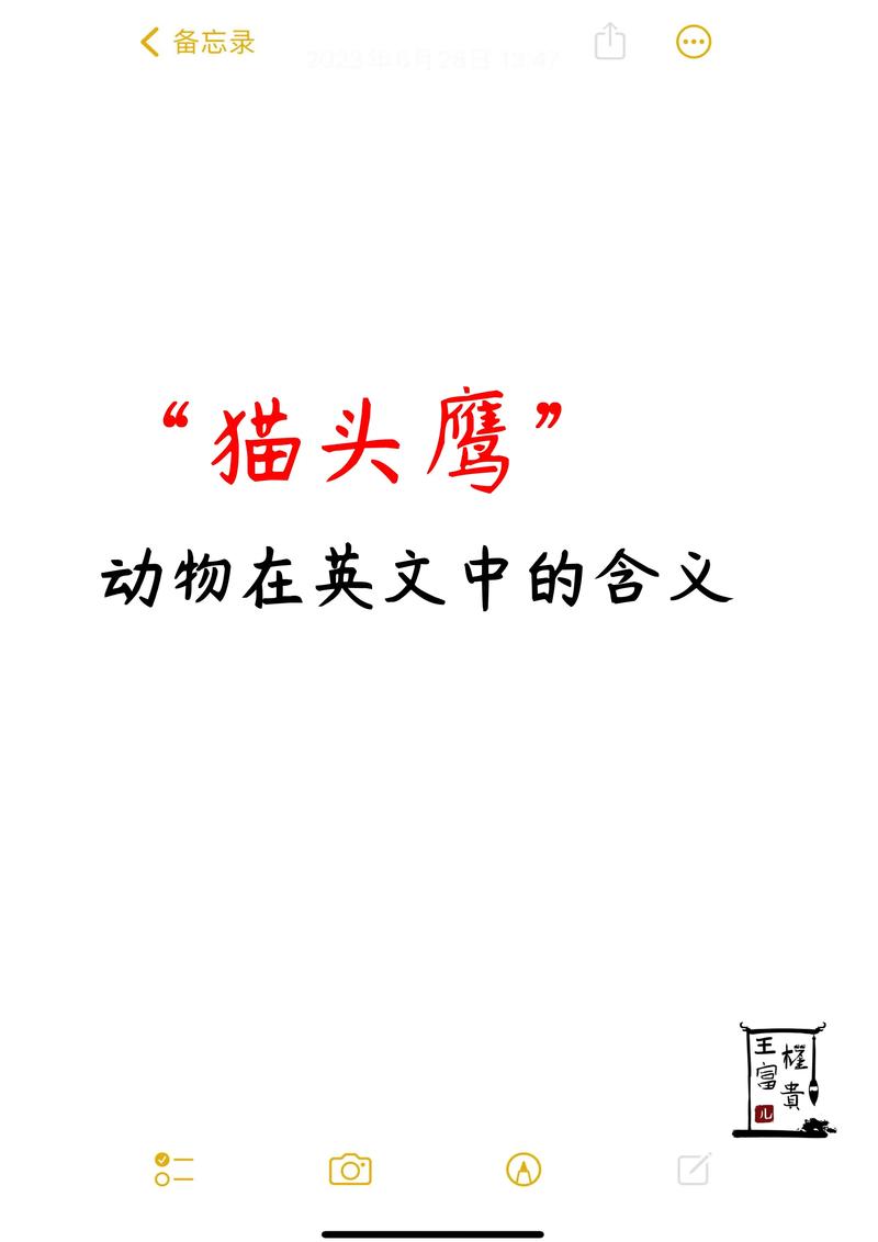 猫头鹰,英语单词怎么写