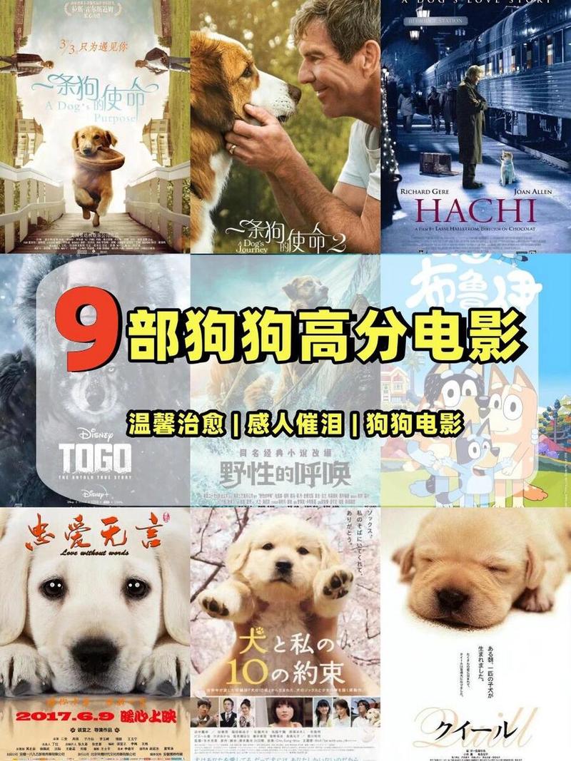关于狗狗的电影