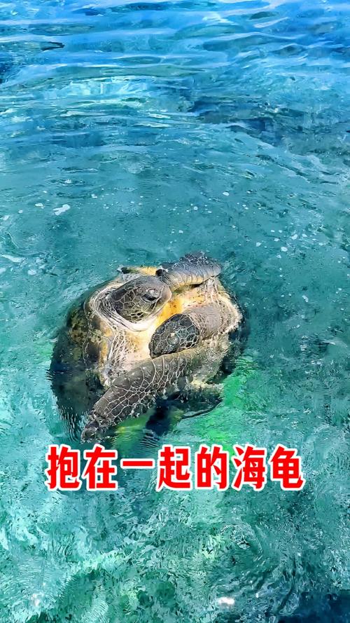 义举的意思