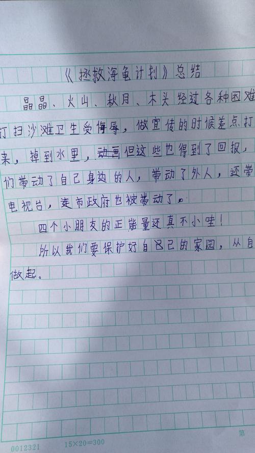 拯救海龟计划读后感