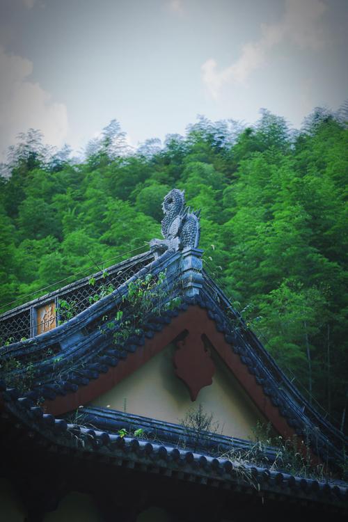 埃及探险地址在哪里?